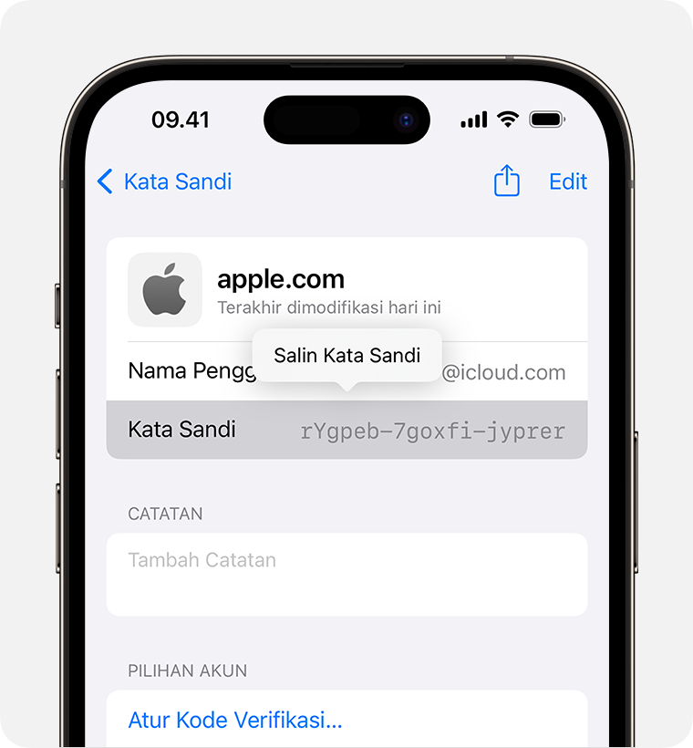Cara Melihat Sandi yang Tersimpan di ios 17 iPhone 14 Pro - Salin Kata Sandi