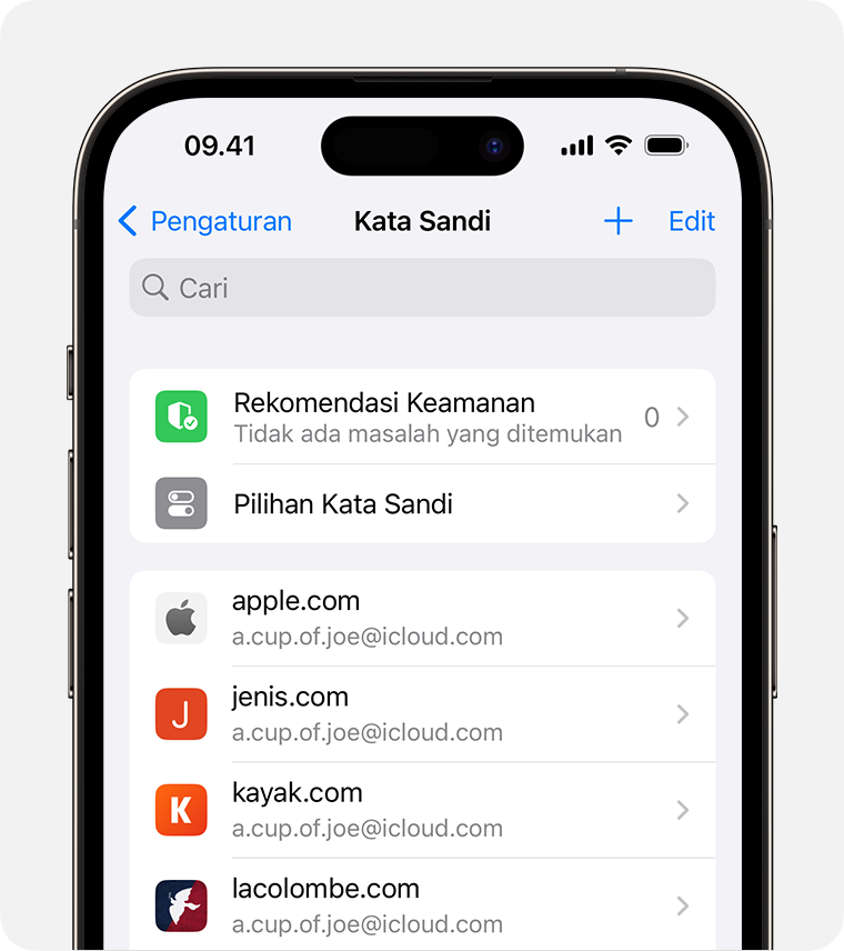 Cara Melihat Sandi yang Tersimpan di ios 17